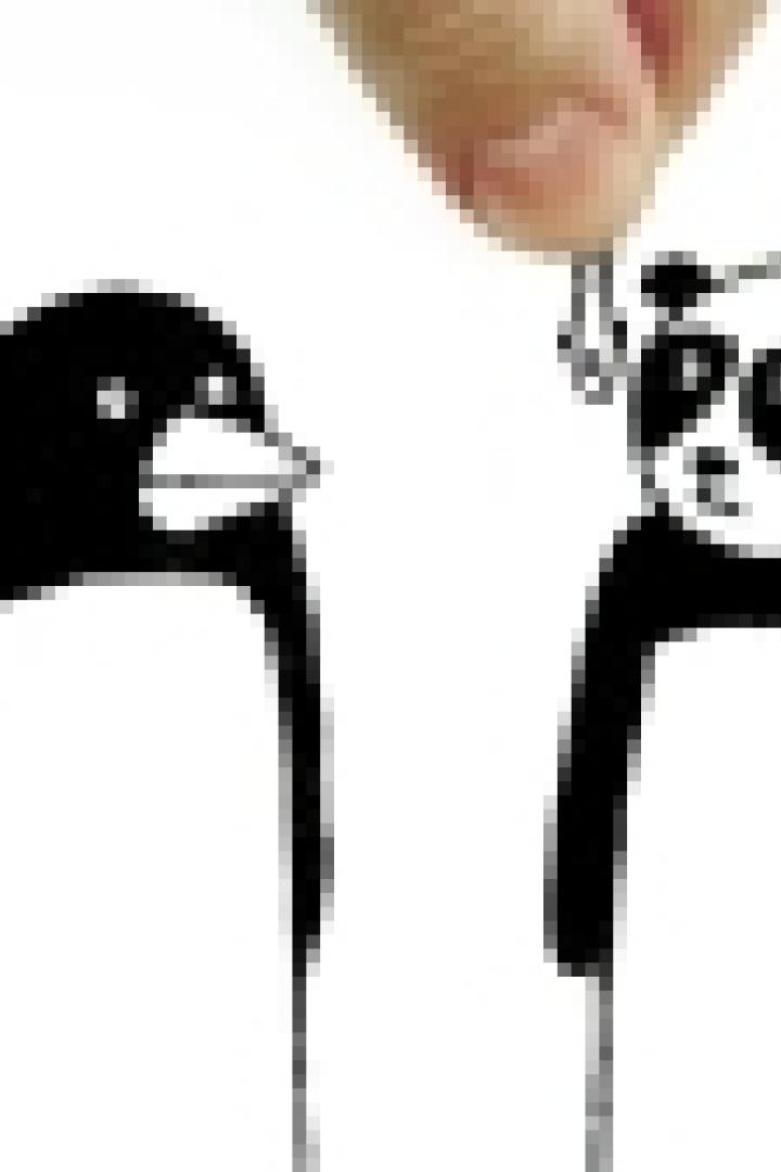 Eine stilisierte Zeichnung eines Pinguins und eines Pandas, wobei eine Hand eine Büroklammer an den Panda hält.