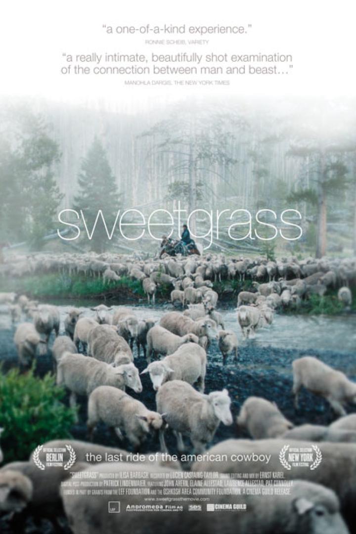 Sweetgrass