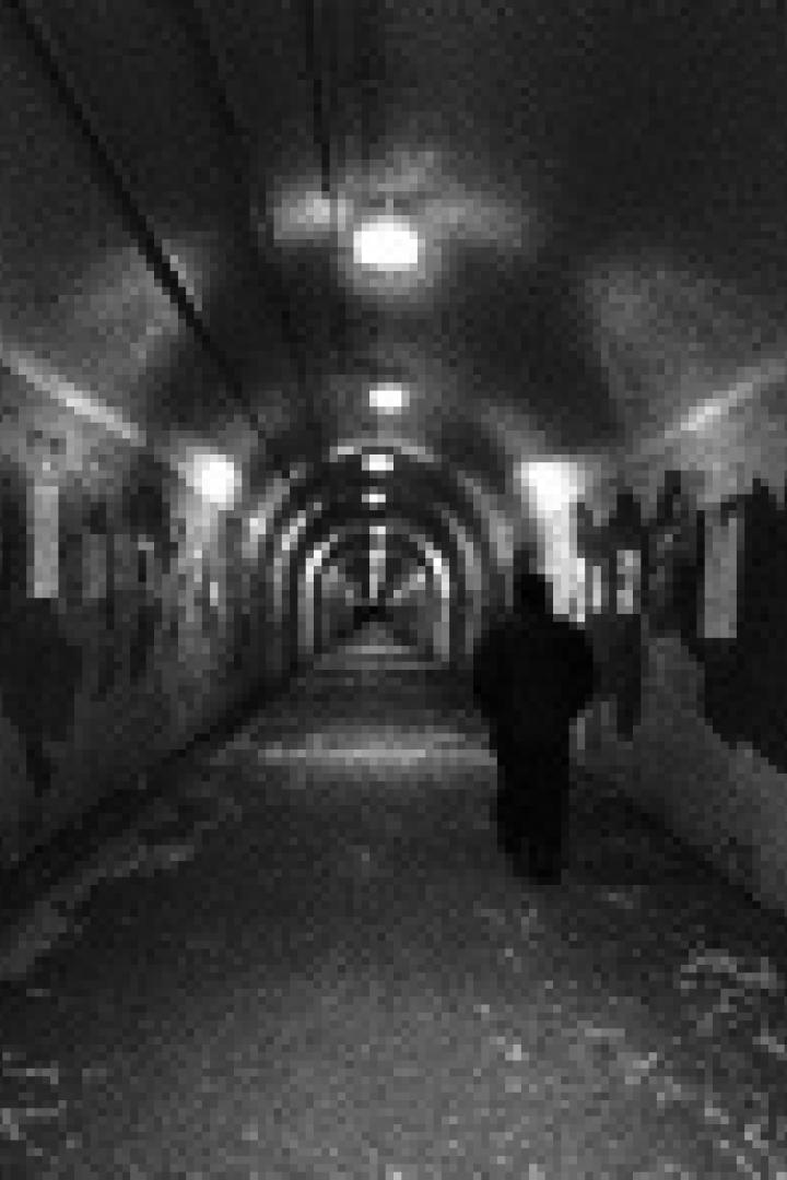Eine Person geht durch einen langen, mit Graffiti und Bildern geschmückten Tunnel.