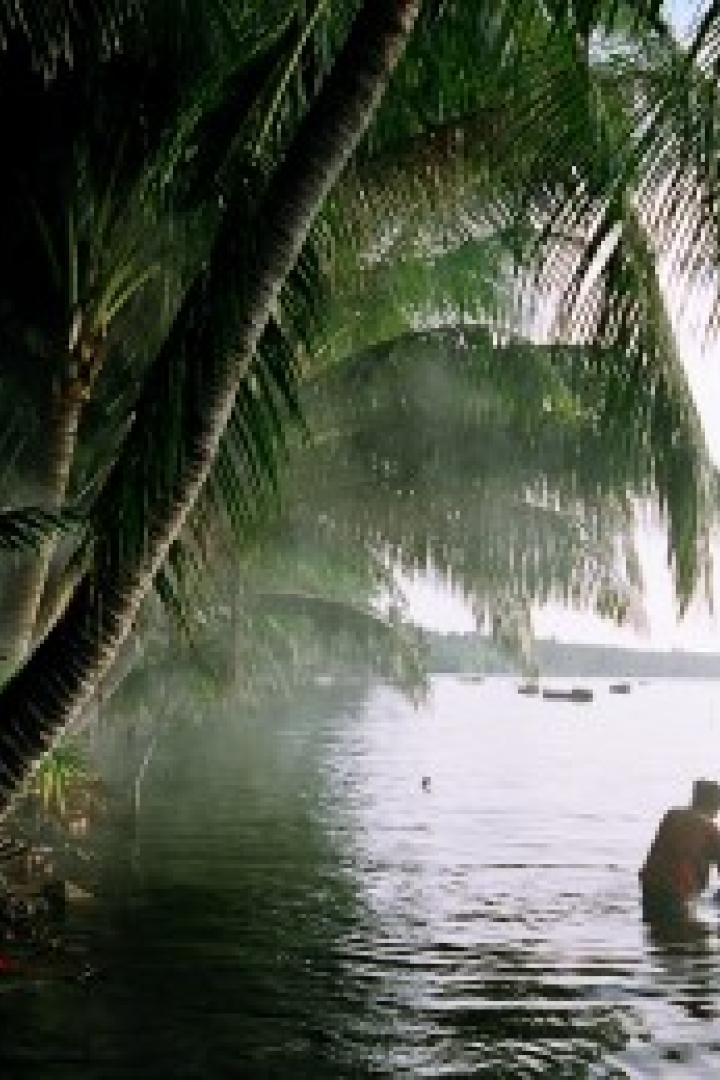 Eine Person steht im Wasser unter Palmen an einem tropischen Strand.