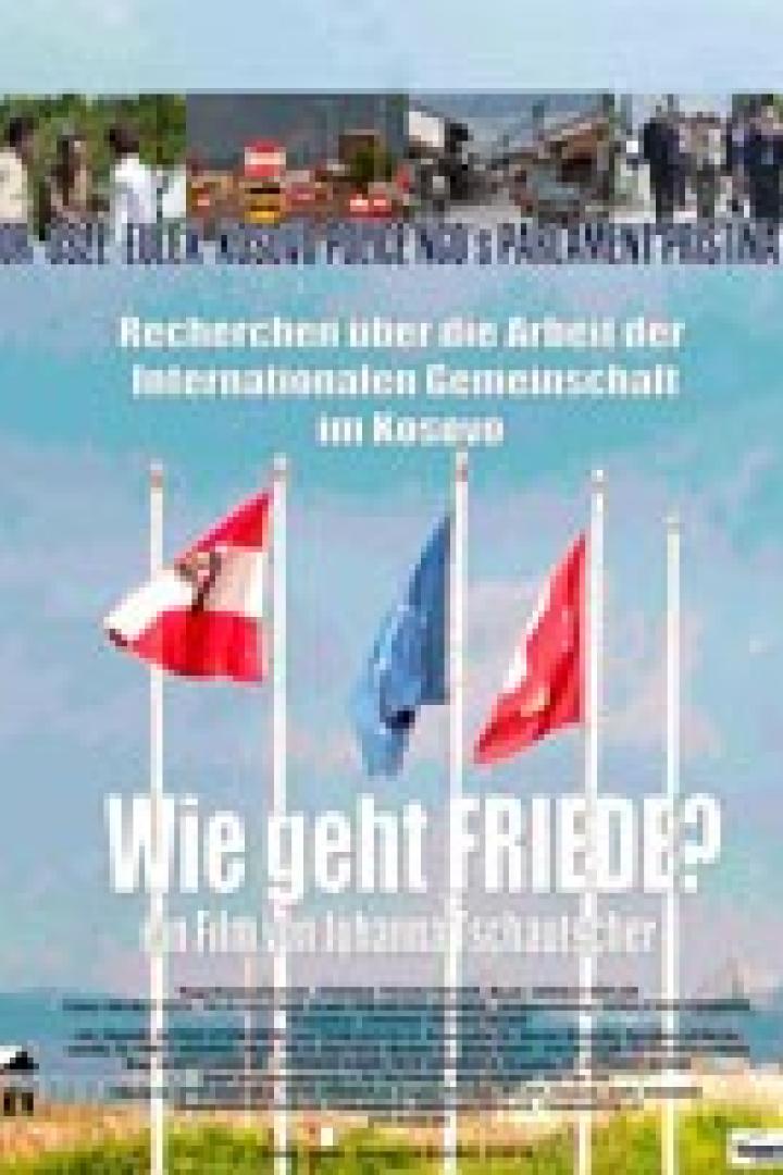 Das Filmplakat für „Wie geht FRIEDE?“ zeigt Flaggen und den Titel des Films.