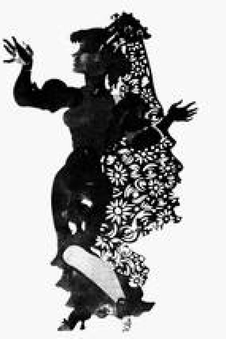 Eine stilisierte Silhouette einer Frau in einem verzierten Kleid und Schleier.