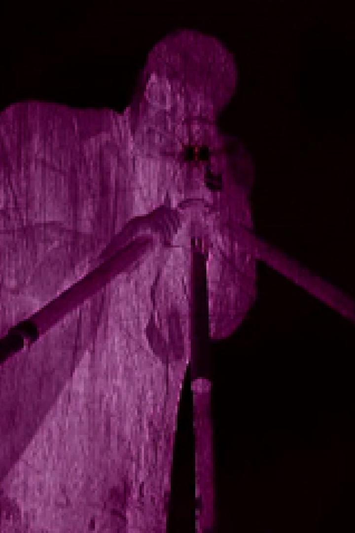 Eine violett beleuchtete Statue eines Mannes, der ein Blasinstrument spielt.