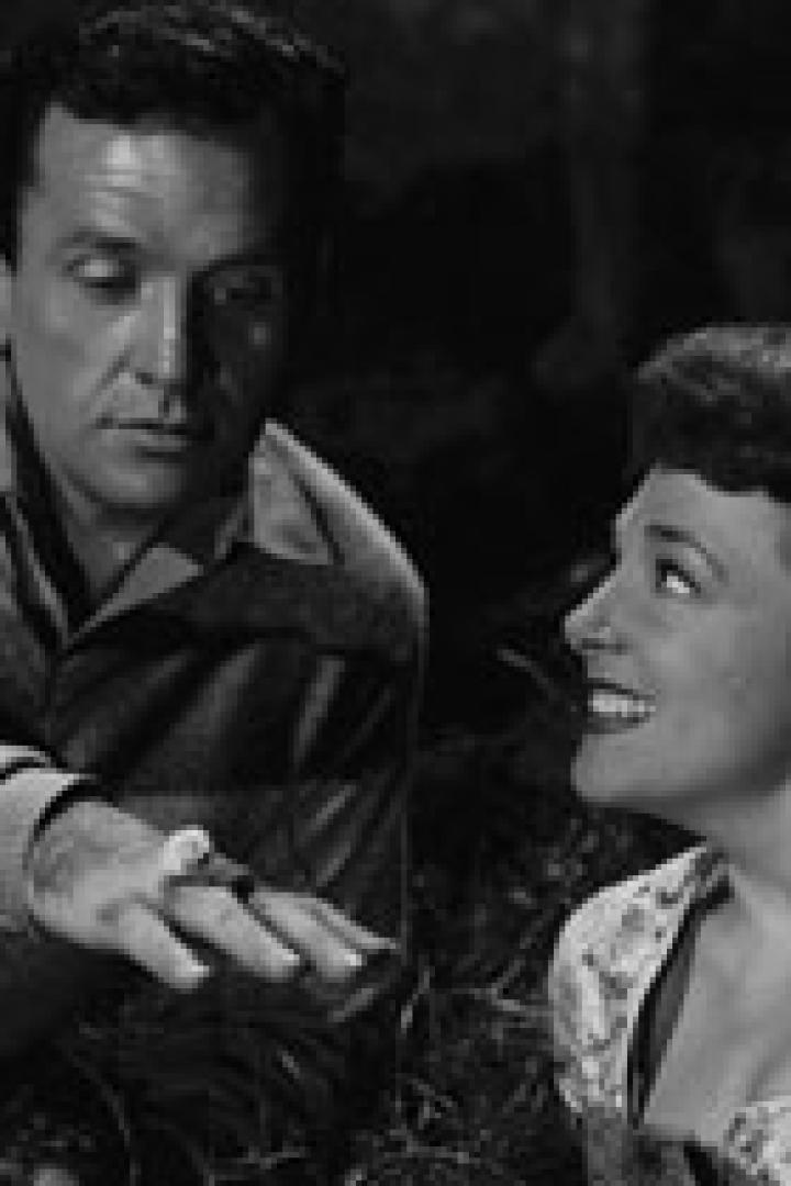 Die Liebe einer Frau (1954)