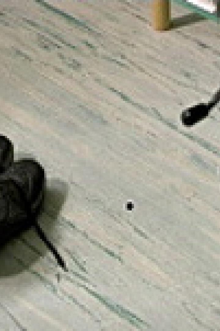 Ein Paar schwarze Schuhe steht neben einem Rollstuhlrad auf einem gemusterten Boden.