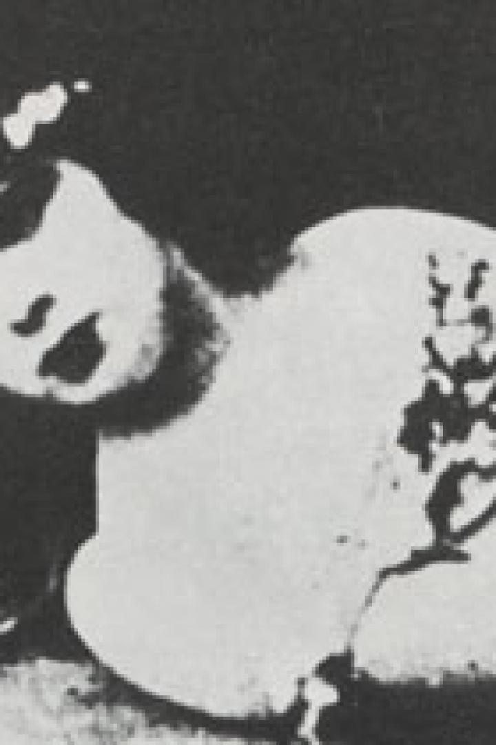 Eine Frau liegt mit geschlossenen Augen und Blumen im Haar da.