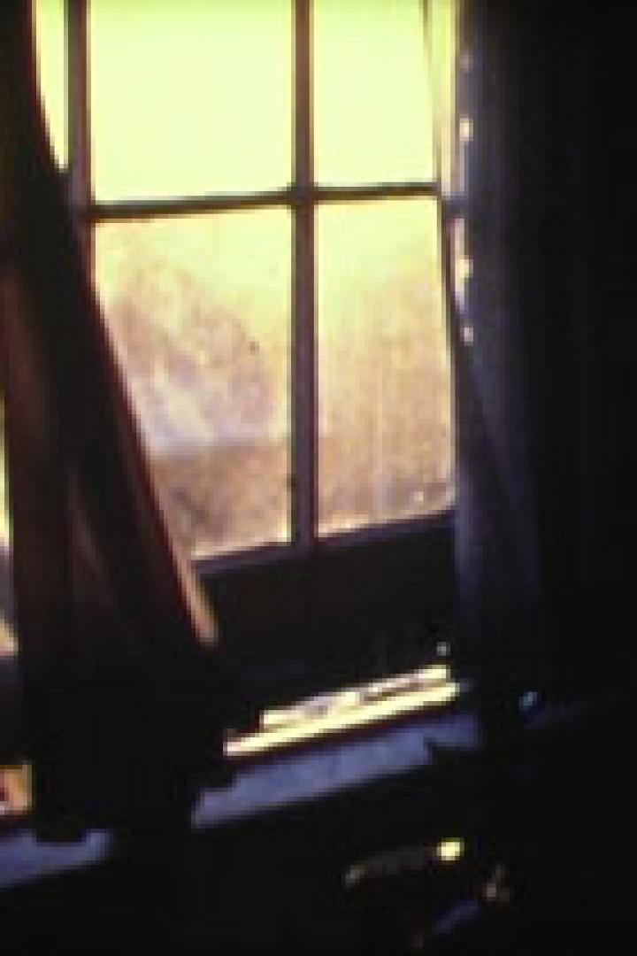 Ein Fenster mit wehenden Vorhängen lässt helles Sonnenlicht herein.