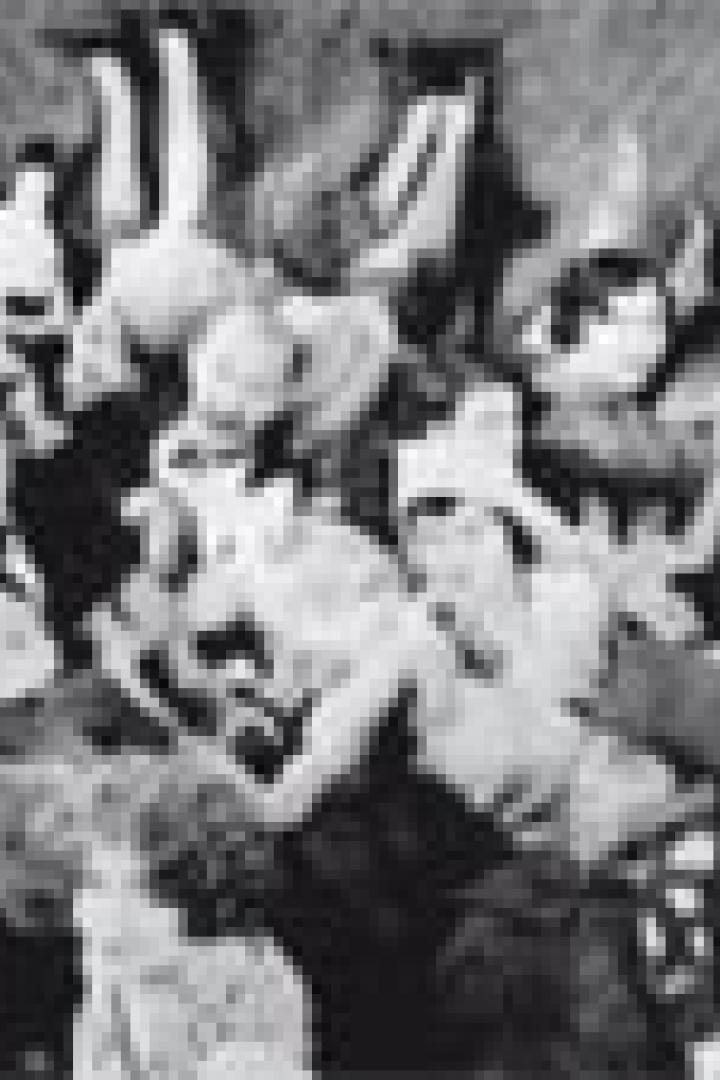 Eine Gruppe von Menschen in Kostümen posiert für ein Schwarzweißfoto.