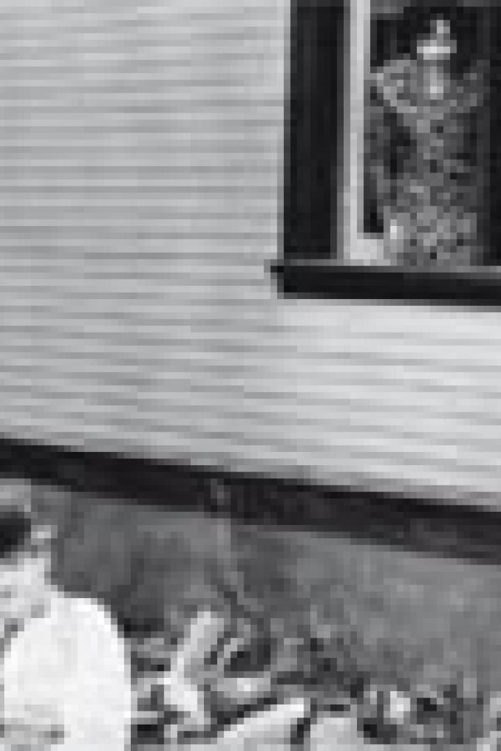 Eine Frau steht am Fenster eines Hauses, während eine andere Frau im Garten sitzt.
