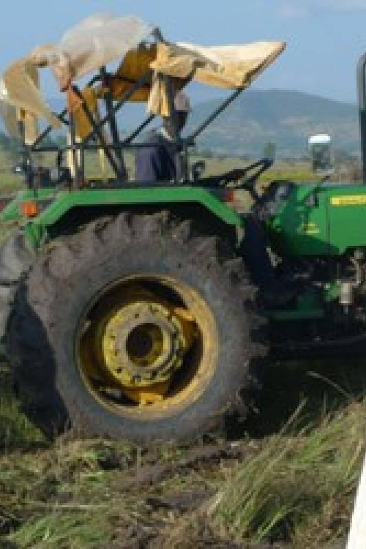 Eine Frau mit Kopftuch steht auf einem Feld, während ein Mann mit einem Traktor pflügt.