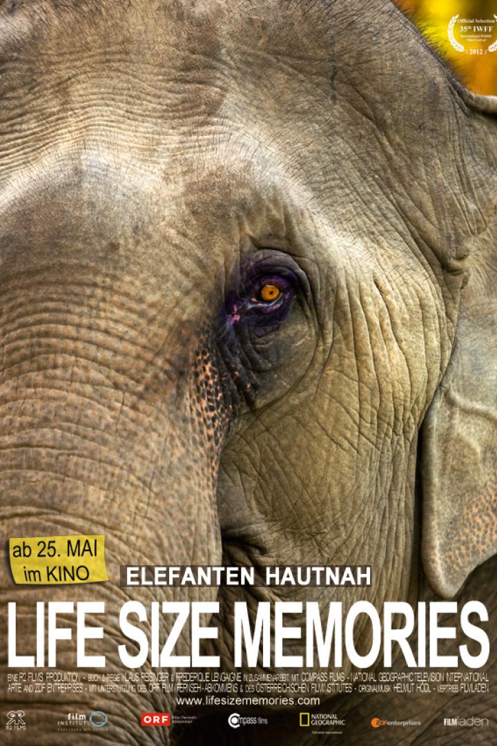 Nahaufnahme des Auges und der Haut eines Elefanten für den Film „Elefanten hautnah“.