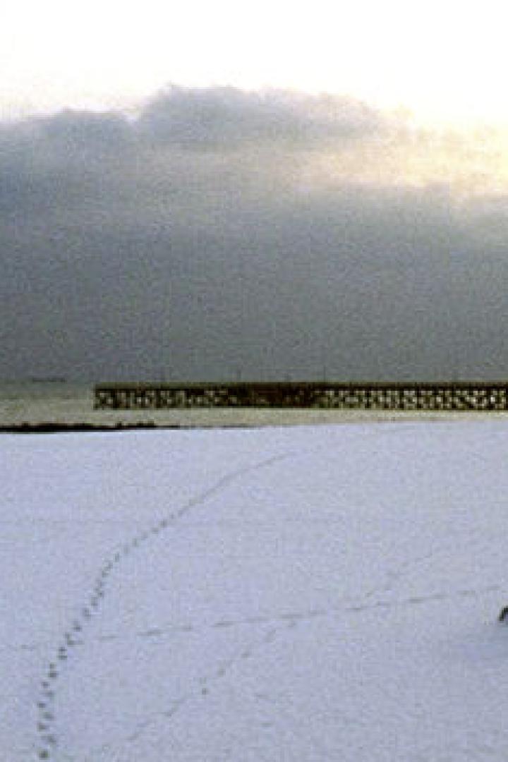 Ein schneebedeckter Strand mit einem Pier im Hintergrund unter einem bewölkten Himmel.