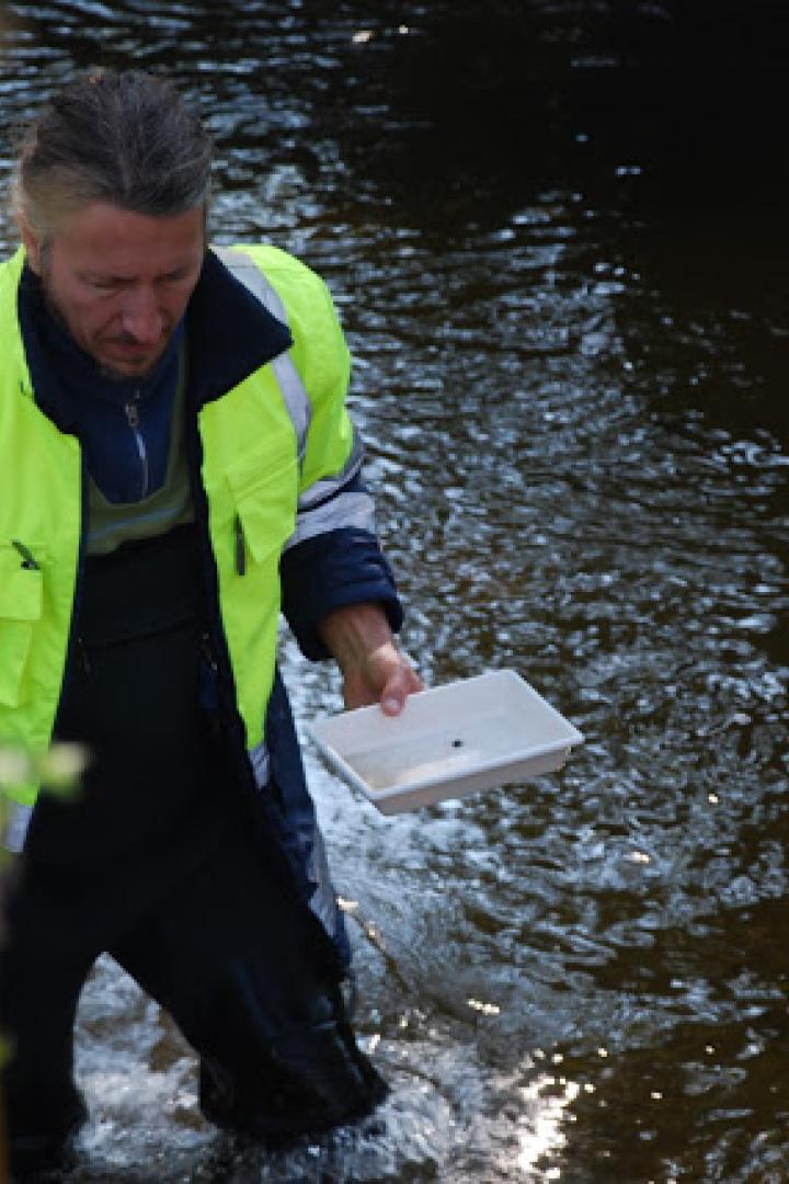 Ein Mann in Watstiefeln und Warnweste steht in einem Fluss und hält zwei Behälter.
