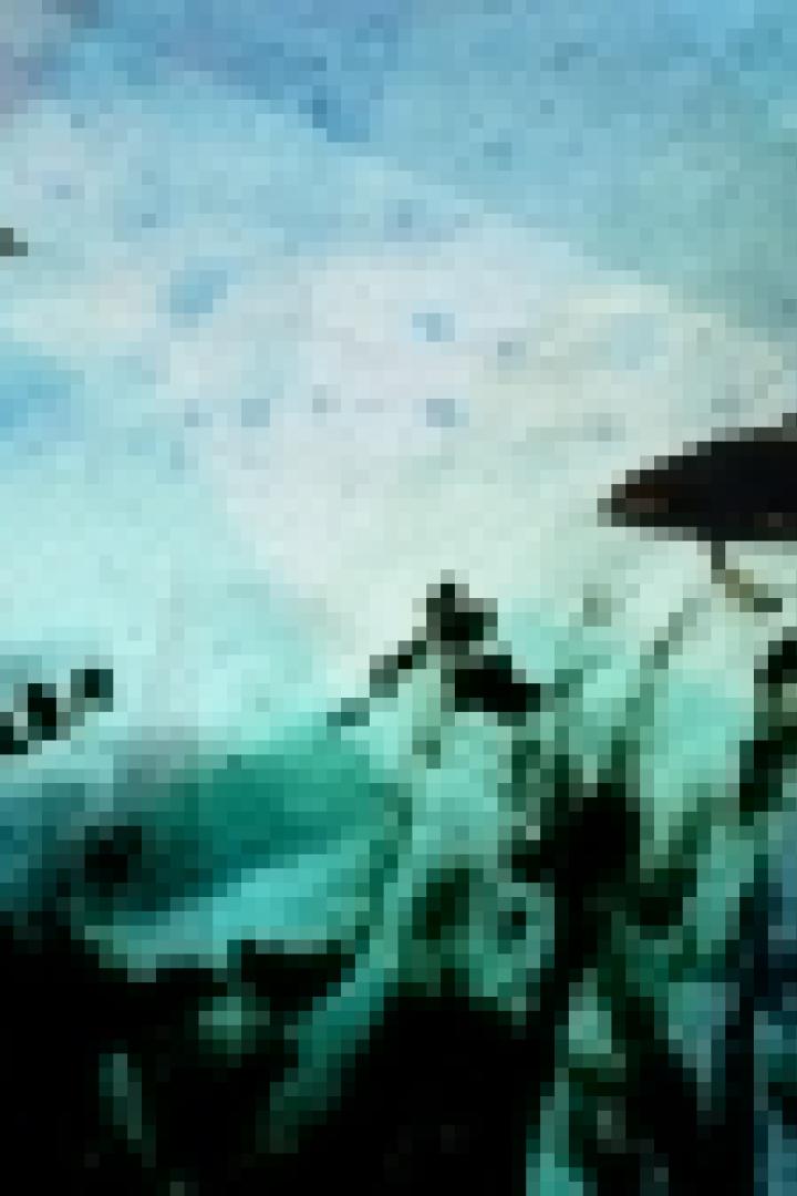 Ein stilisierte Darstellung von Fischen in einem Gewässer.