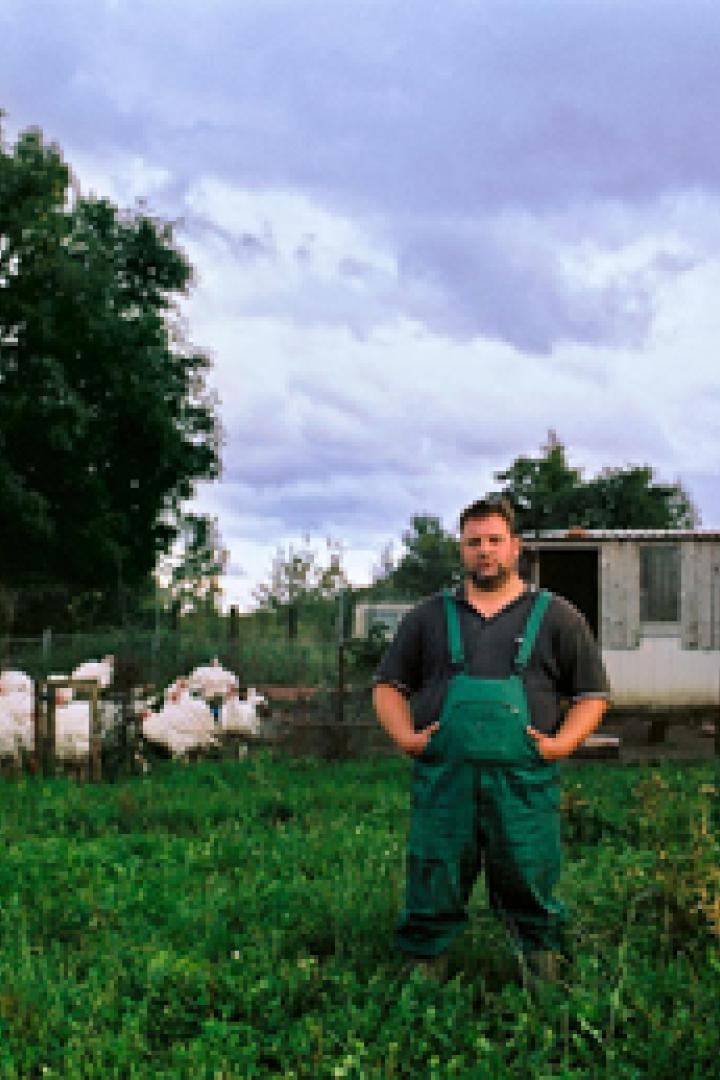 Ein Landwirt steht vor einer Gruppe von Truthähnen auf einer grünen Wiese.