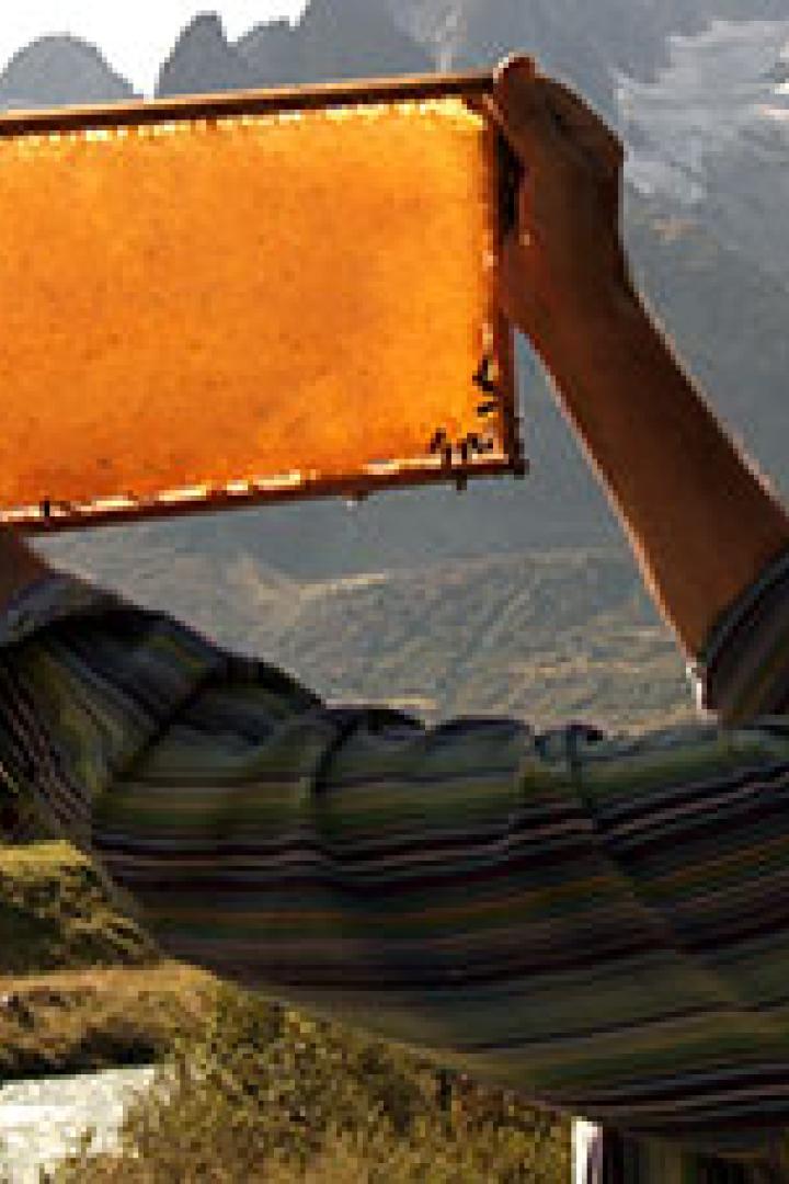 Ein Imker hält eine Honigwabe vor einer Berglandschaft in die Höhe.