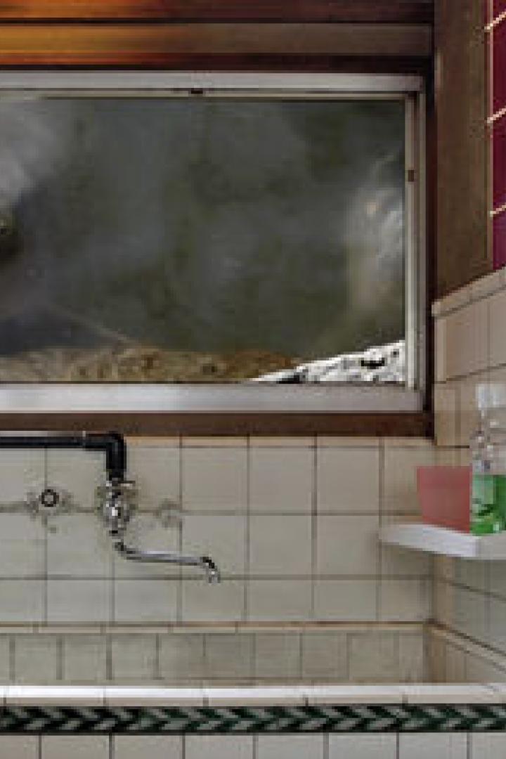 Zwei Fische schauen durch ein Fenster in ein gefliestes Badezimmer.