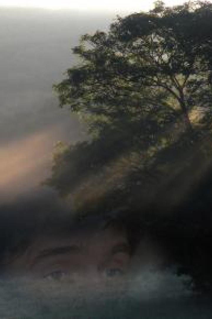 Ein Baum steht im Nebel, während im Vordergrund schemenhaft ein Gesicht zu erkennen ist.