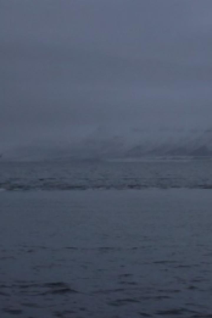 Eine düstere Landschaft mit Meer und Bergen im Hintergrund.