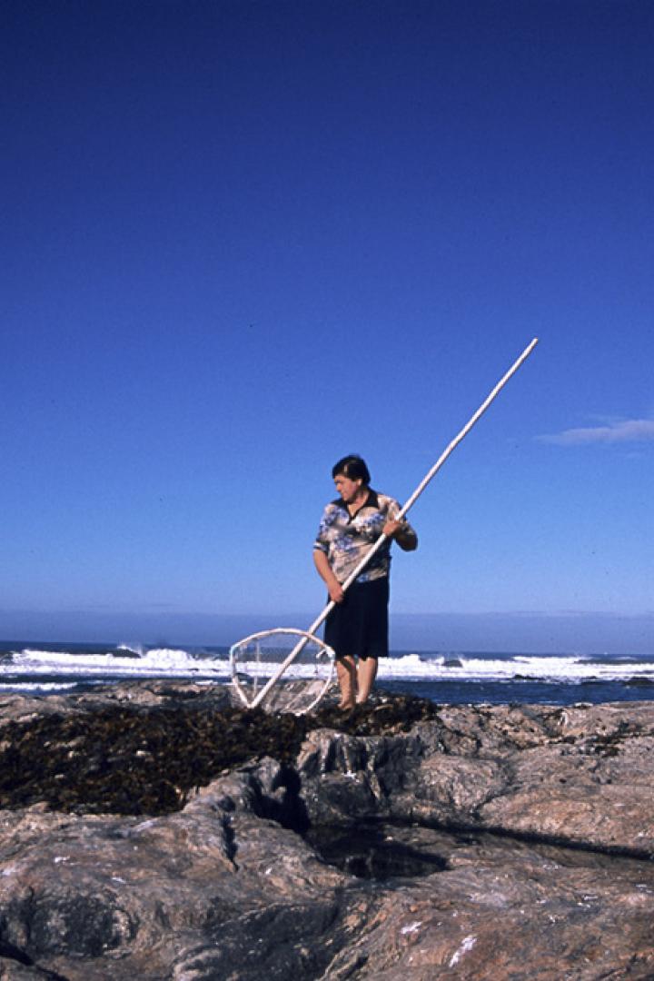 Eine Frau steht mit einem Kescher auf einem felsigen Küstenabschnitt.