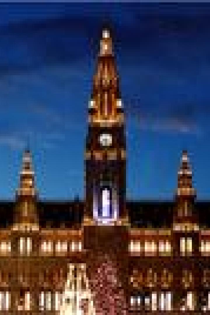 Das Wiener Rathaus ist nachts beleuchtet.