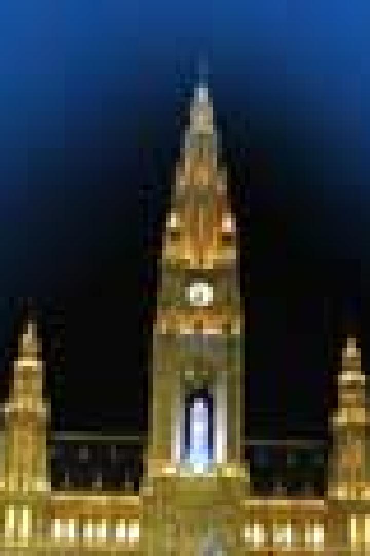 Das Wiener Rathaus ist nachts beleuchtet.