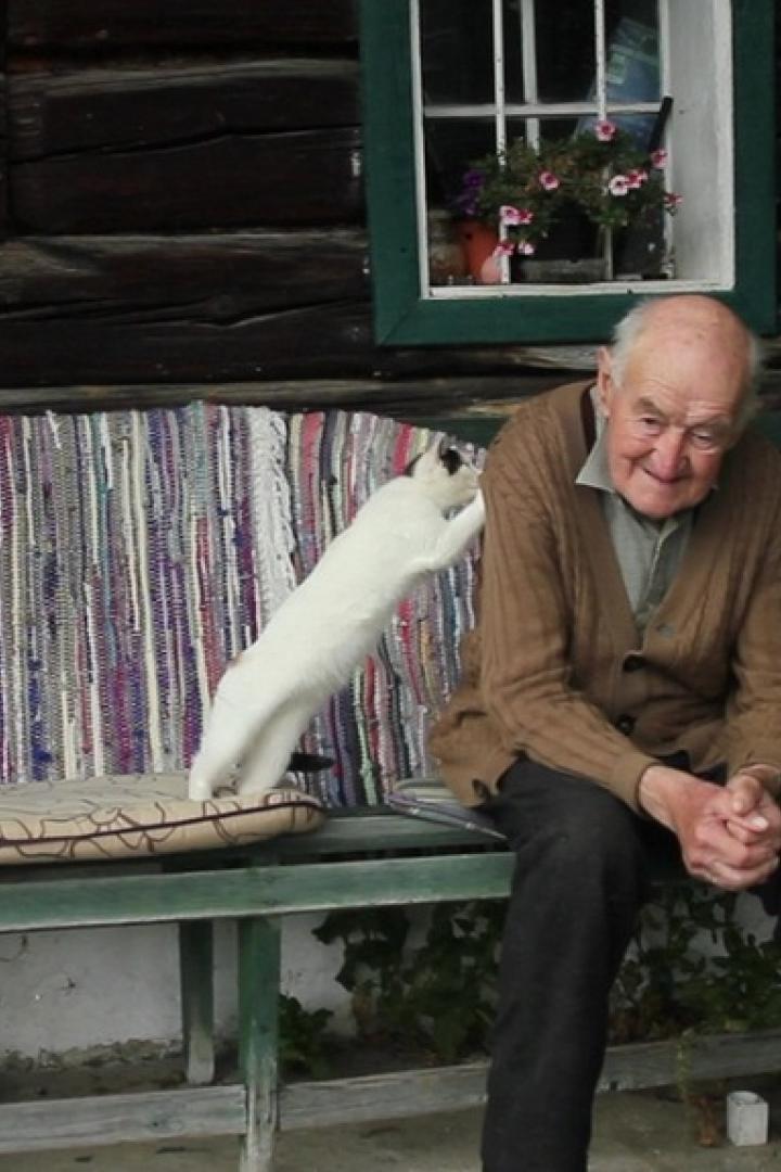 Ein älterer Mann sitzt auf einer Bank, während eine weiße Katze an der Lehne hochklettert.