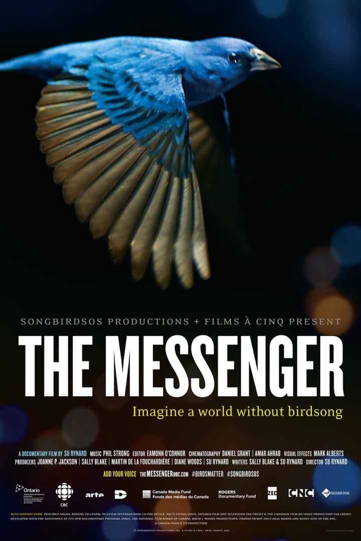 messenger