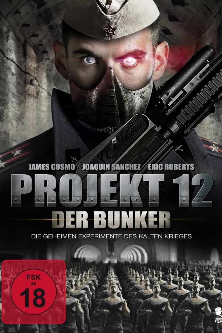 projekt-12