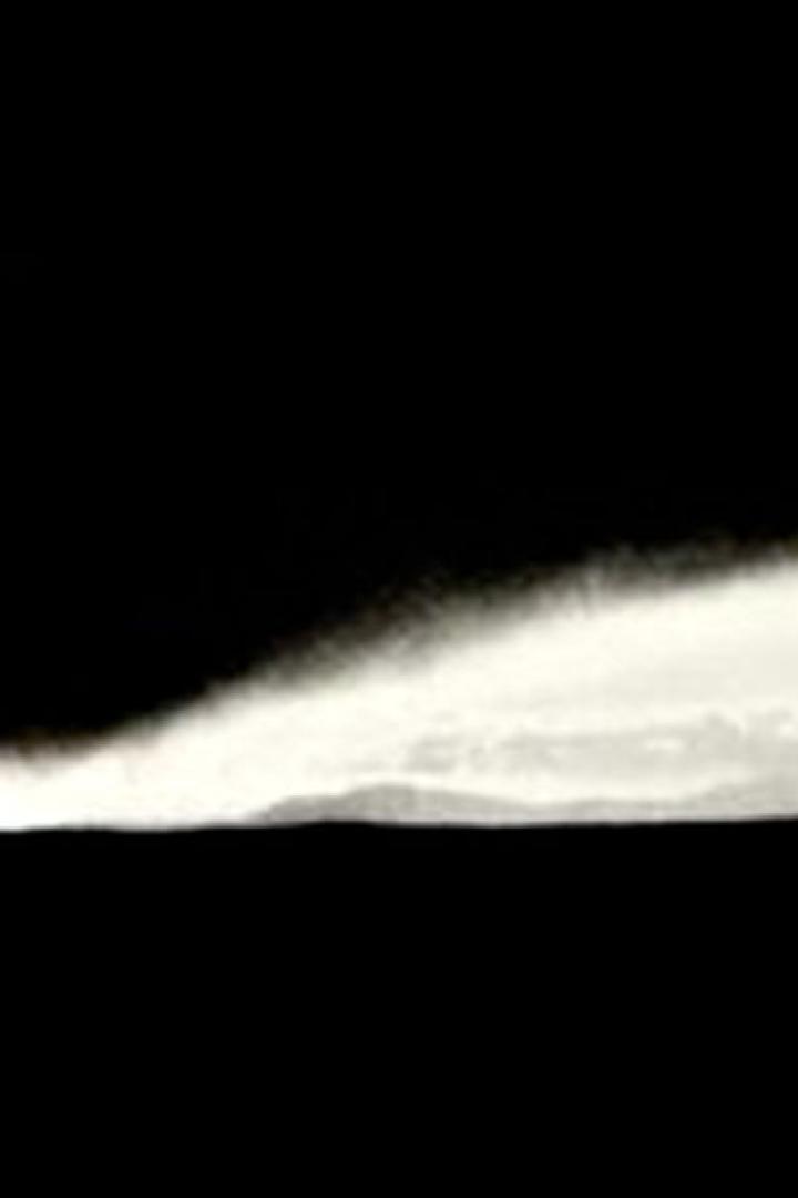 Eine monochrome Landschaft mit Bäumen und Nebel unter einem dunklen Himmel.