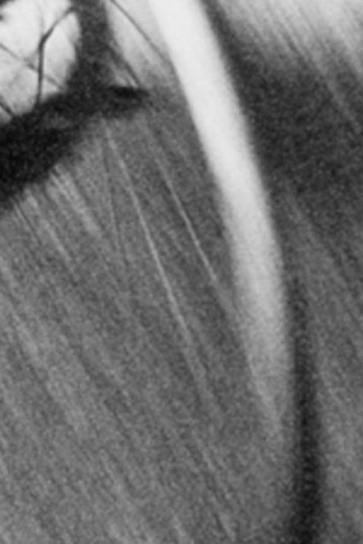 Abstrakte Schwarz-Weiß-Darstellung einer verschwommenen Landschaft mit Baum im Vordergrund.