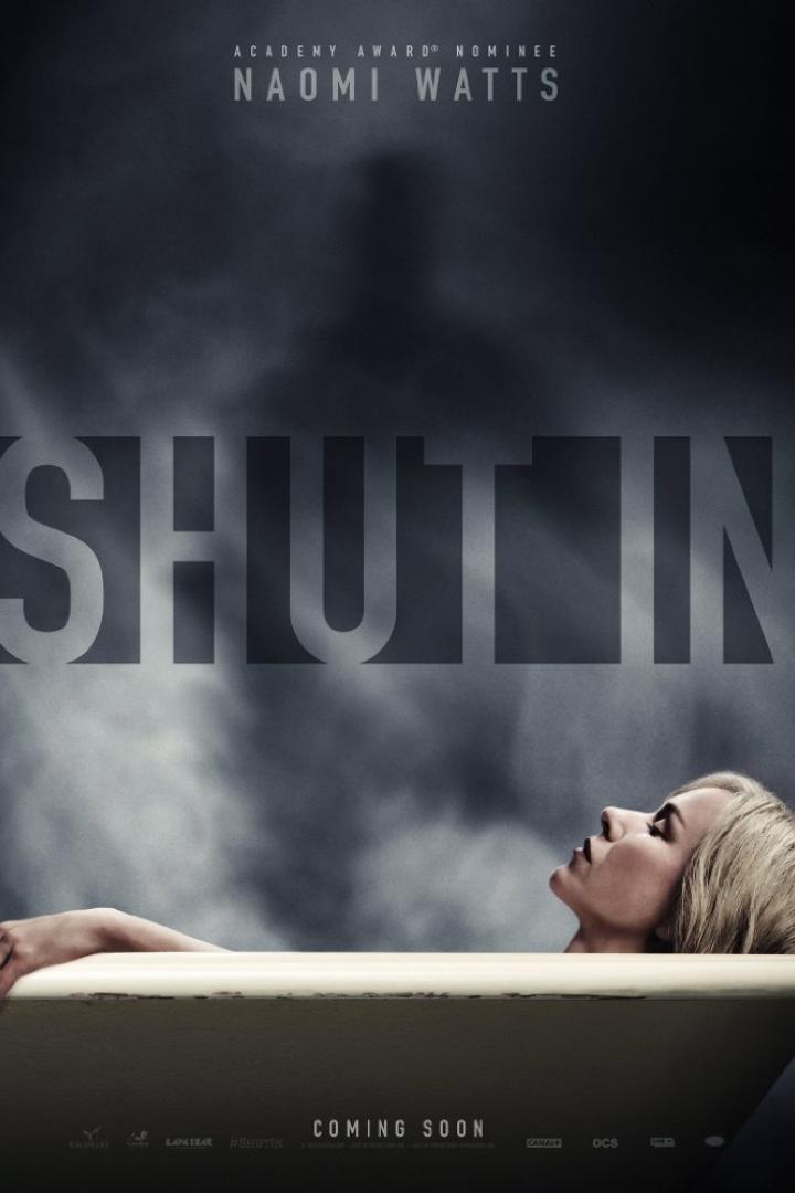 shut-in-plakat