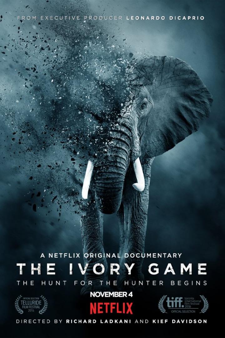 ivory-game-plakat