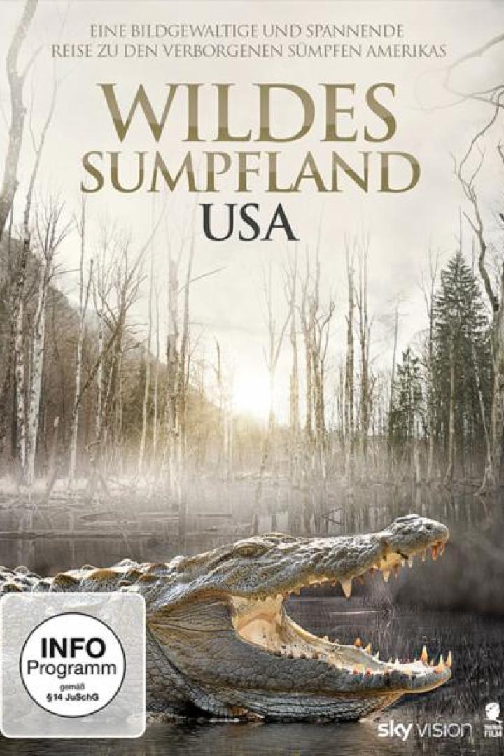 Das Cover des Films „Wildes Sumpfland USA“ zeigt einen Alligator in einem Sumpfgebiet.