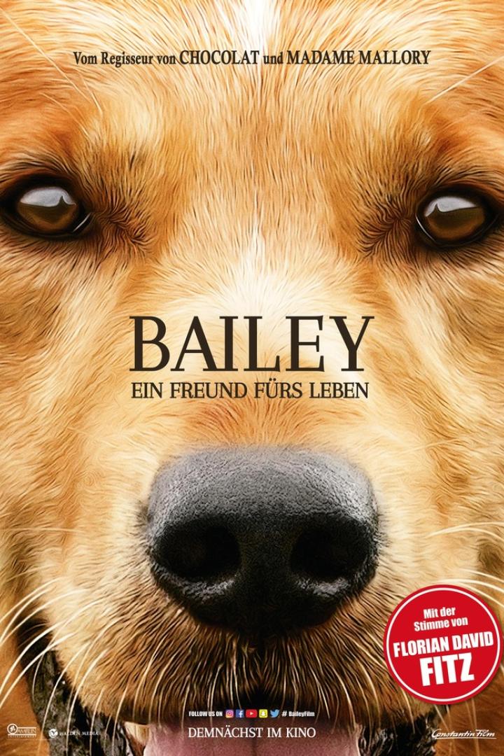 bailey-ein-freund-fuers-leben-plakat