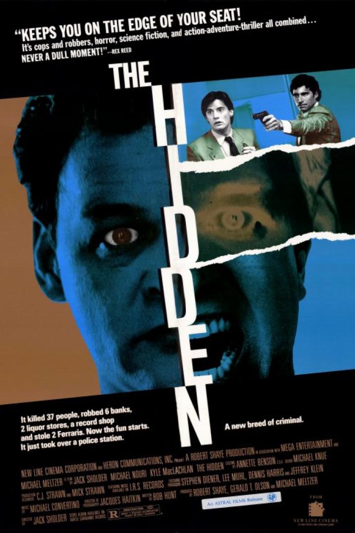 hidden-plakat