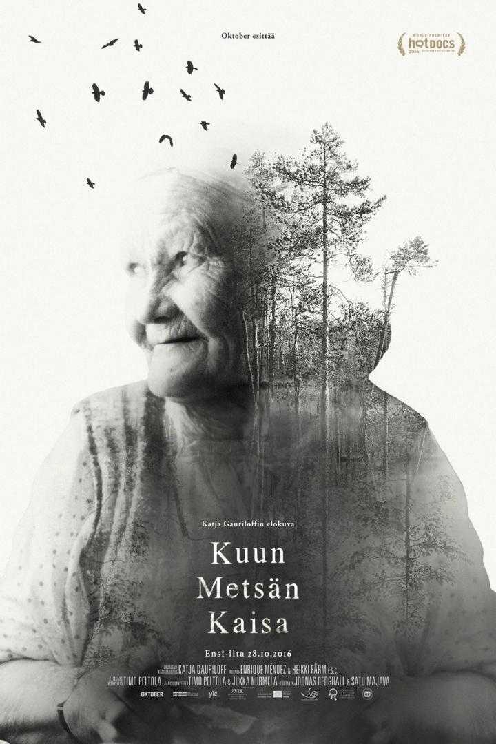 kaisa-plakat