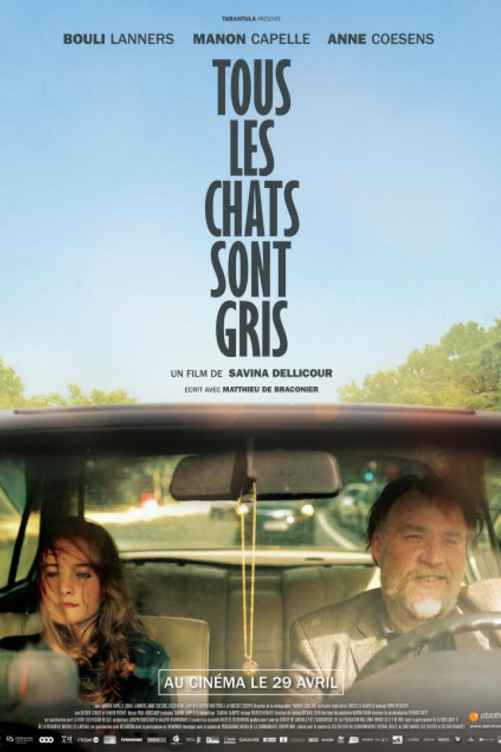 tous-lex-chats-sont-gris-plakat