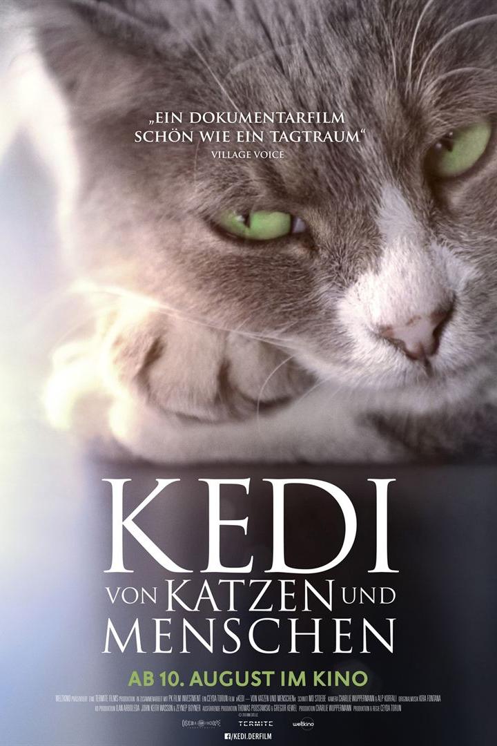 kedi-von-katzen-und-menschen-plakat