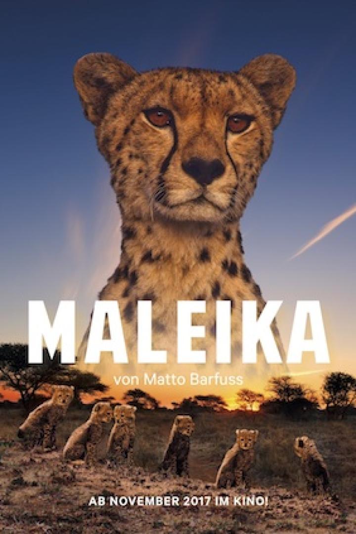 maleika-plakat