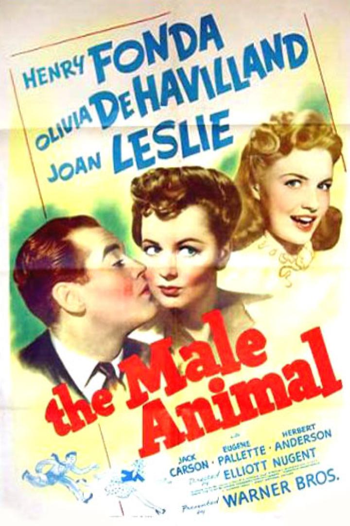 male-animal