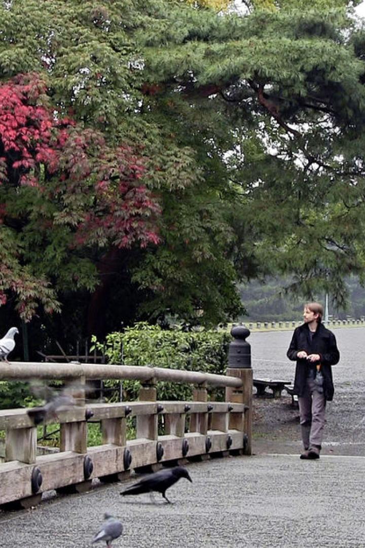 Ein Mann überquert eine Brücke in einem Park, umgeben von Bäumen und Vögeln.
