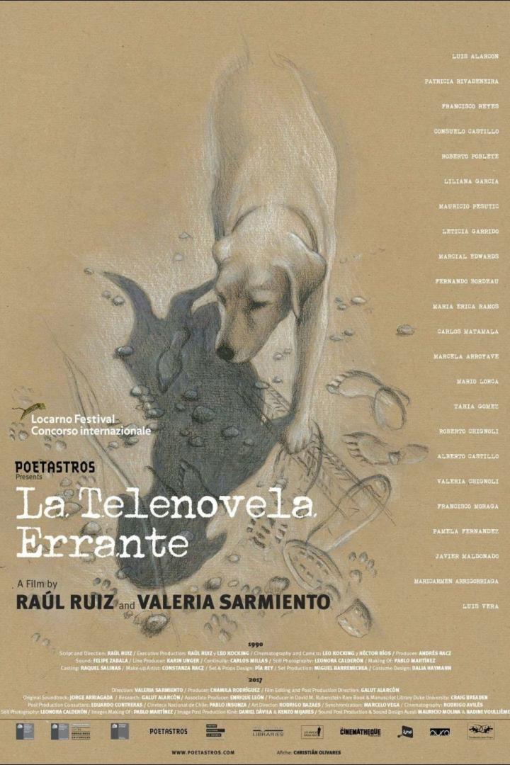 la-telenovela-errante