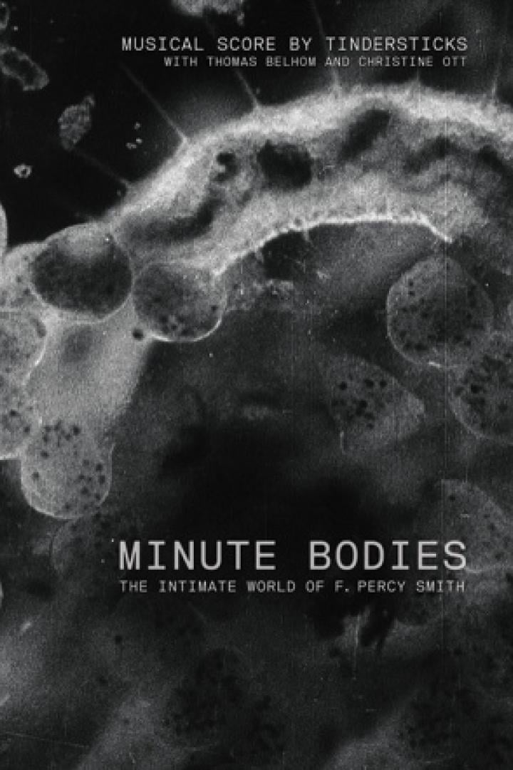 minute-bodies