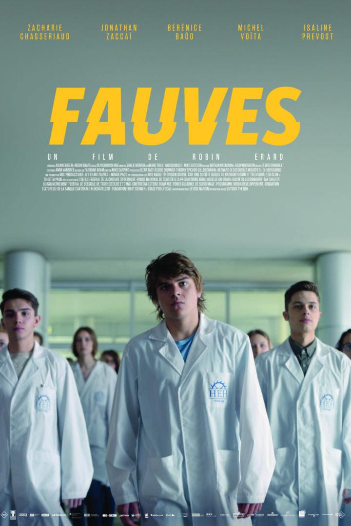 fauves