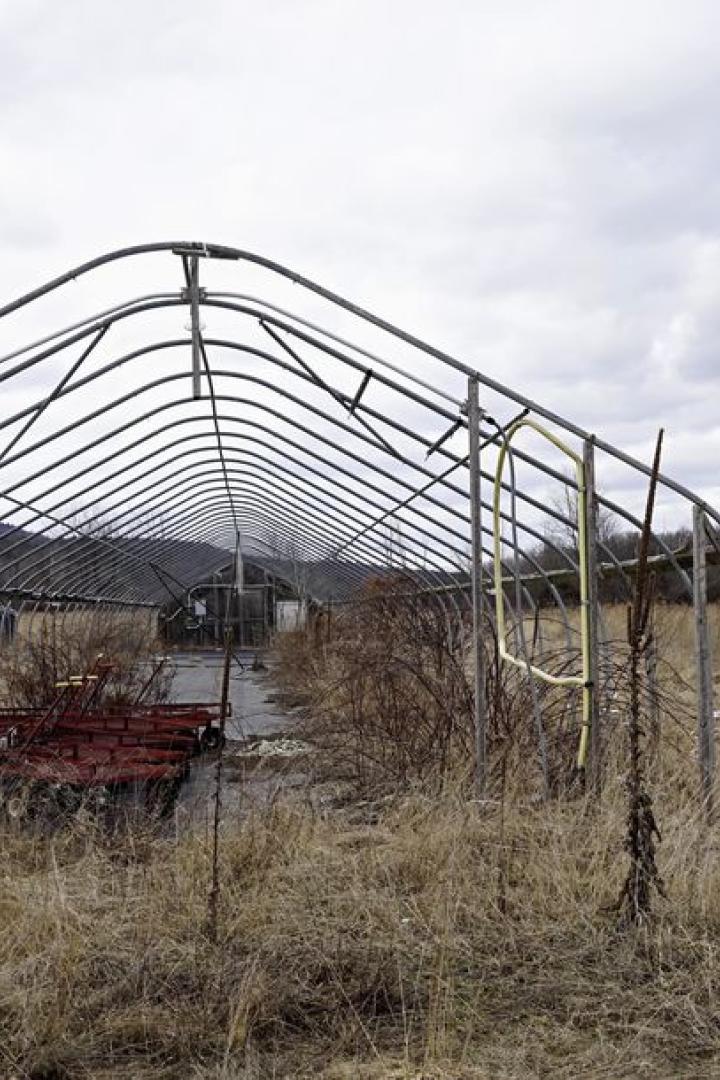Ein verlassenes Gewächshaus mit rostigen Metallrahmen steht in einem Feld mit trockenem Gras.