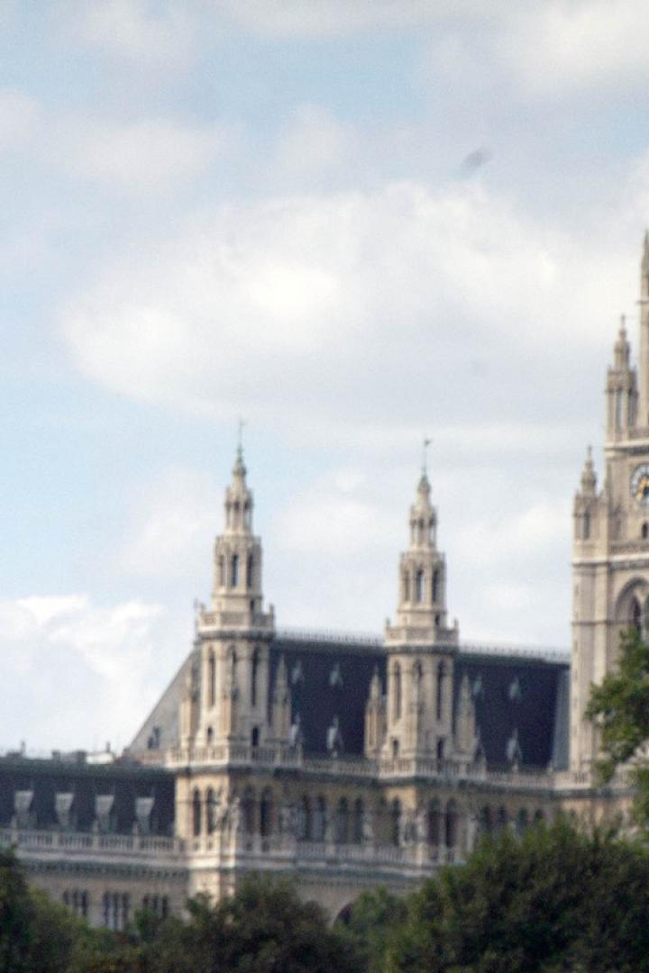 Das Wiener Rathaus mit seinem markanten Turm, gesehen durch Bäume.