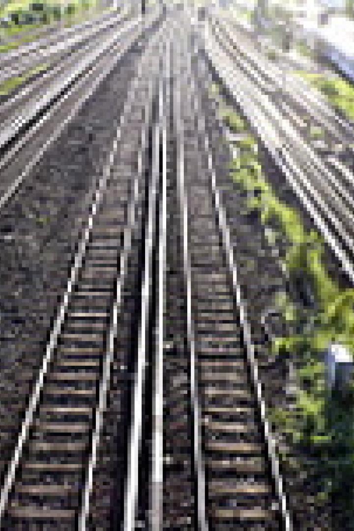 Mehrere Eisenbahngleise verlaufen parallel zueinander.