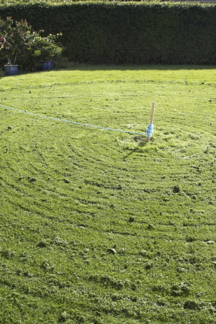 Ein Rasen wurde in konzentrischen Kreisen gemäht.