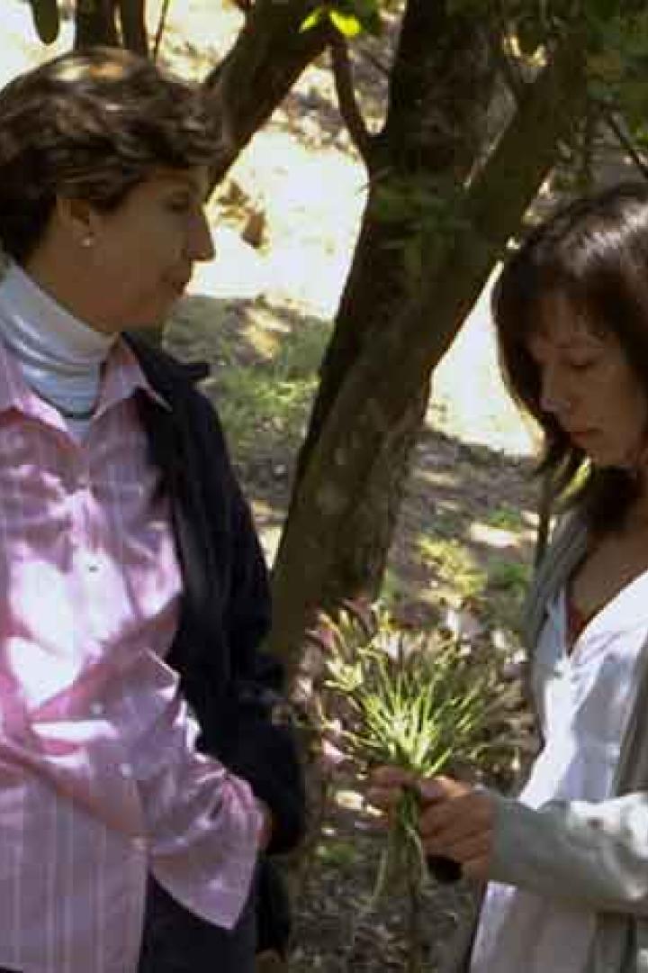 Zwei Frauen stehen in einem Wald, eine hält ein Bündel Pflanzen in der Hand.